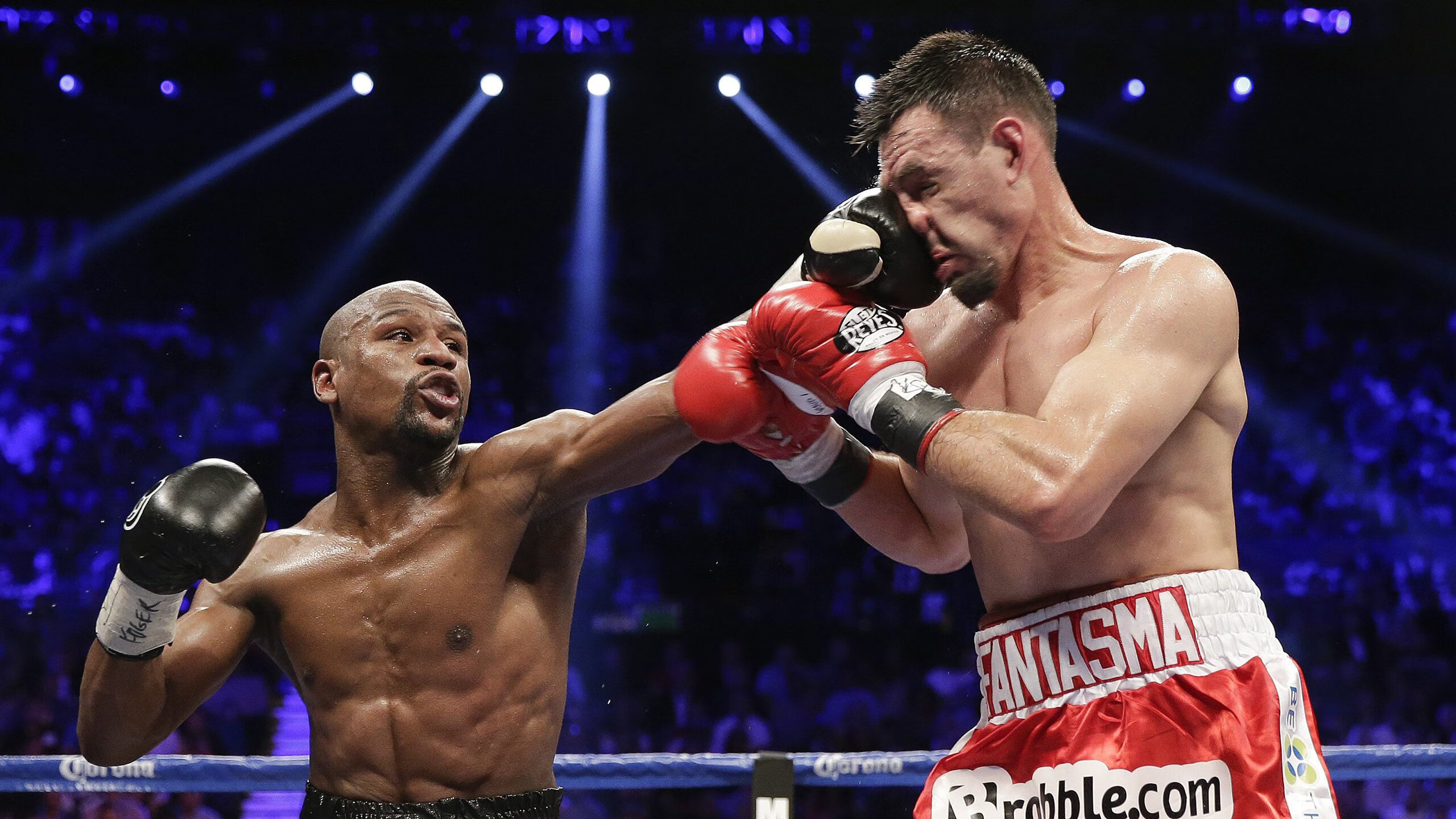 南非青训系统逐步完善，全球橄榄球选手新摇篮，南非橄榄球队员